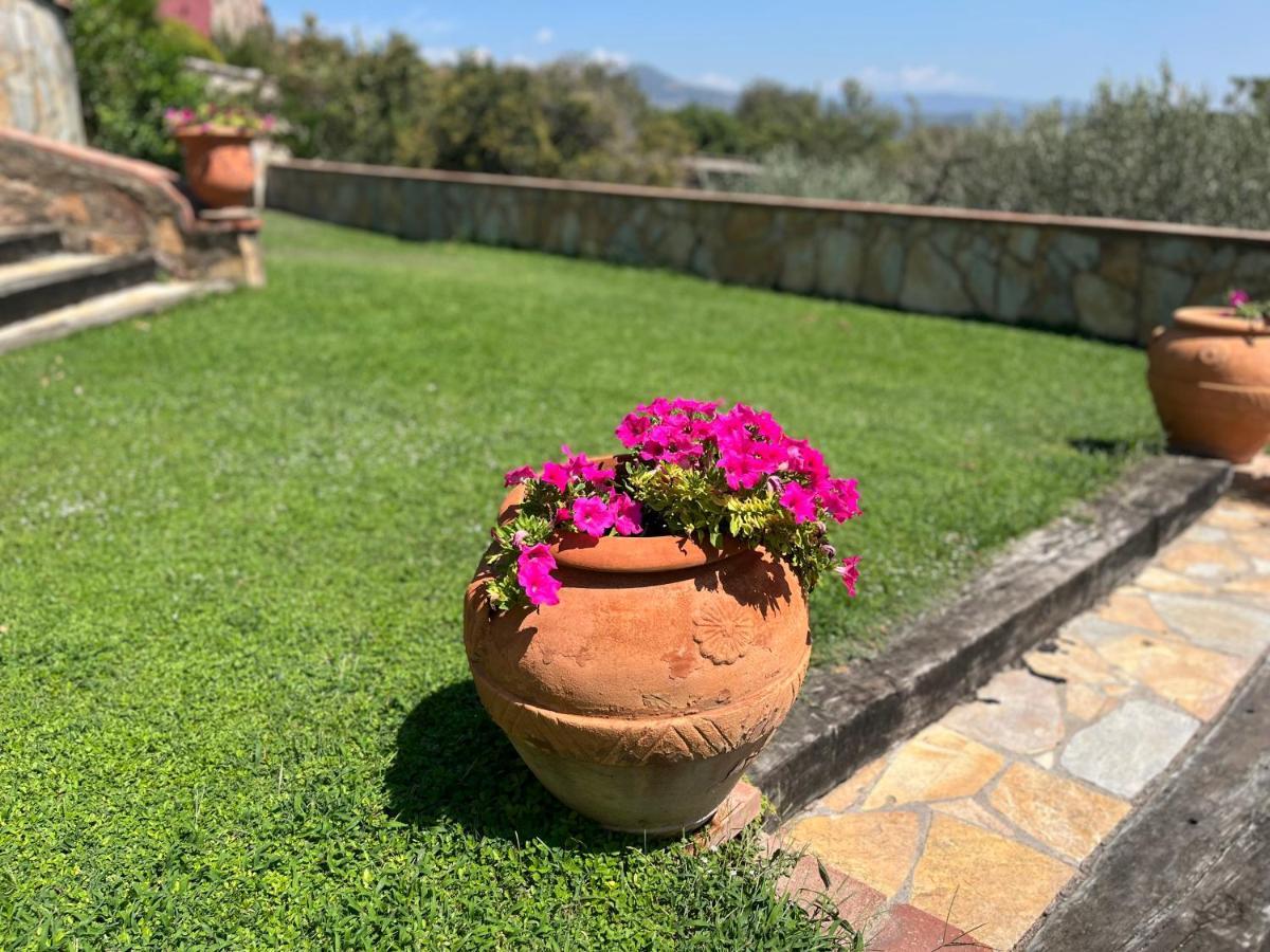 Masia Can Viver - Olive Oil Tourism B&B Bigues I Riells Εξωτερικό φωτογραφία
