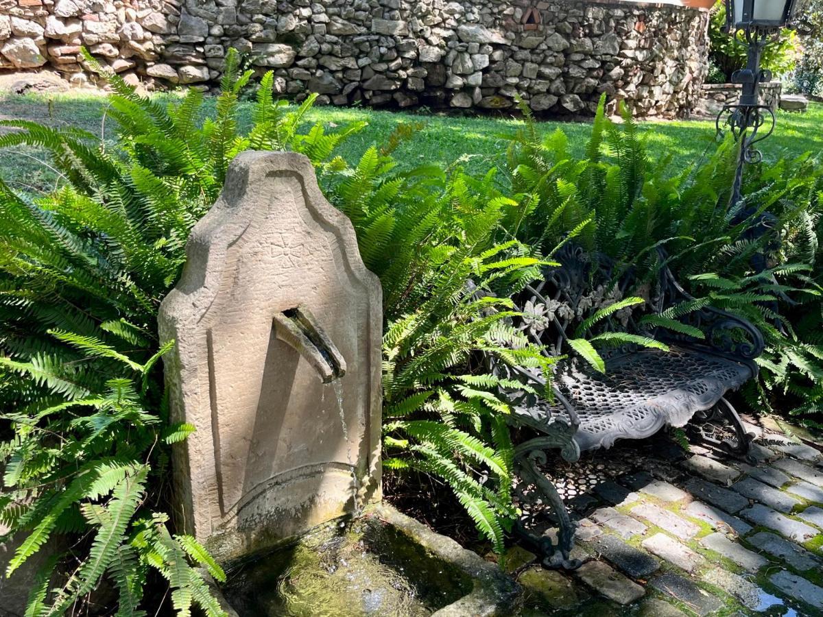 Masia Can Viver - Olive Oil Tourism B&B Bigues I Riells Εξωτερικό φωτογραφία