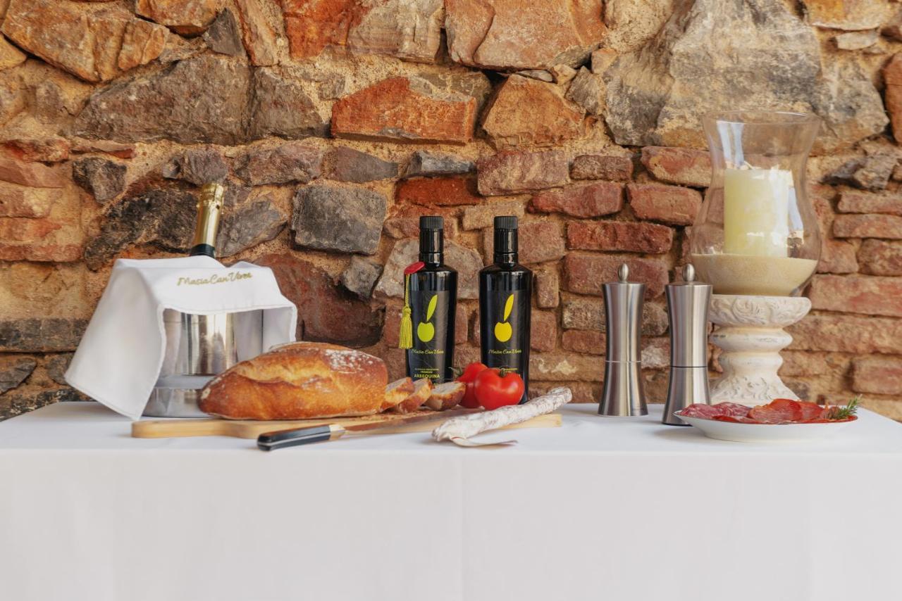 Masia Can Viver - Olive Oil Tourism B&B Bigues I Riells Εξωτερικό φωτογραφία