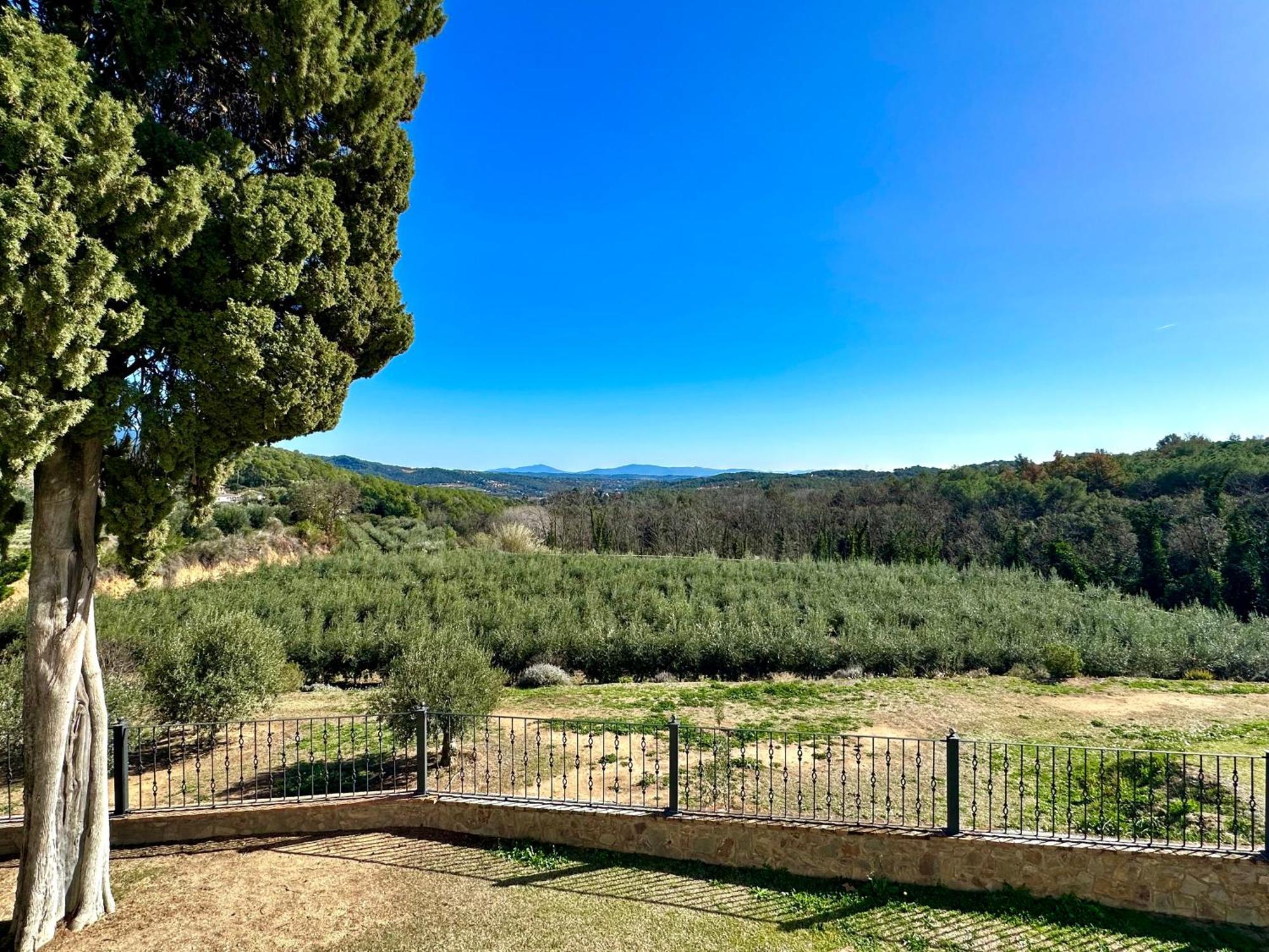 Masia Can Viver - Olive Oil Tourism B&B Bigues I Riells Εξωτερικό φωτογραφία