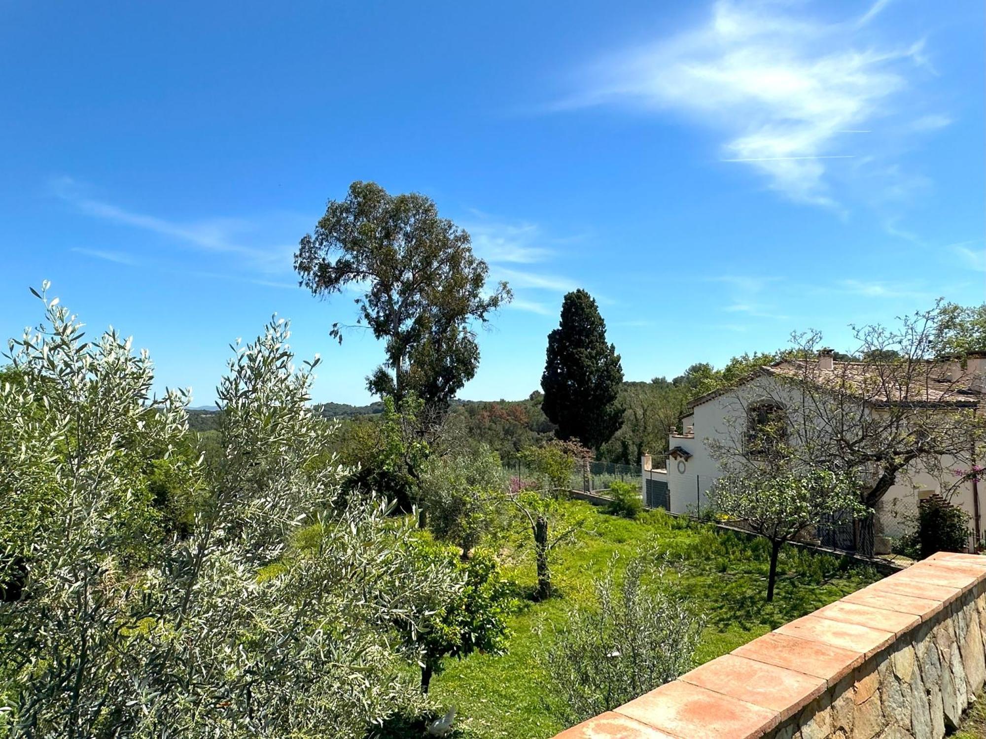 Masia Can Viver - Olive Oil Tourism B&B Bigues I Riells Εξωτερικό φωτογραφία