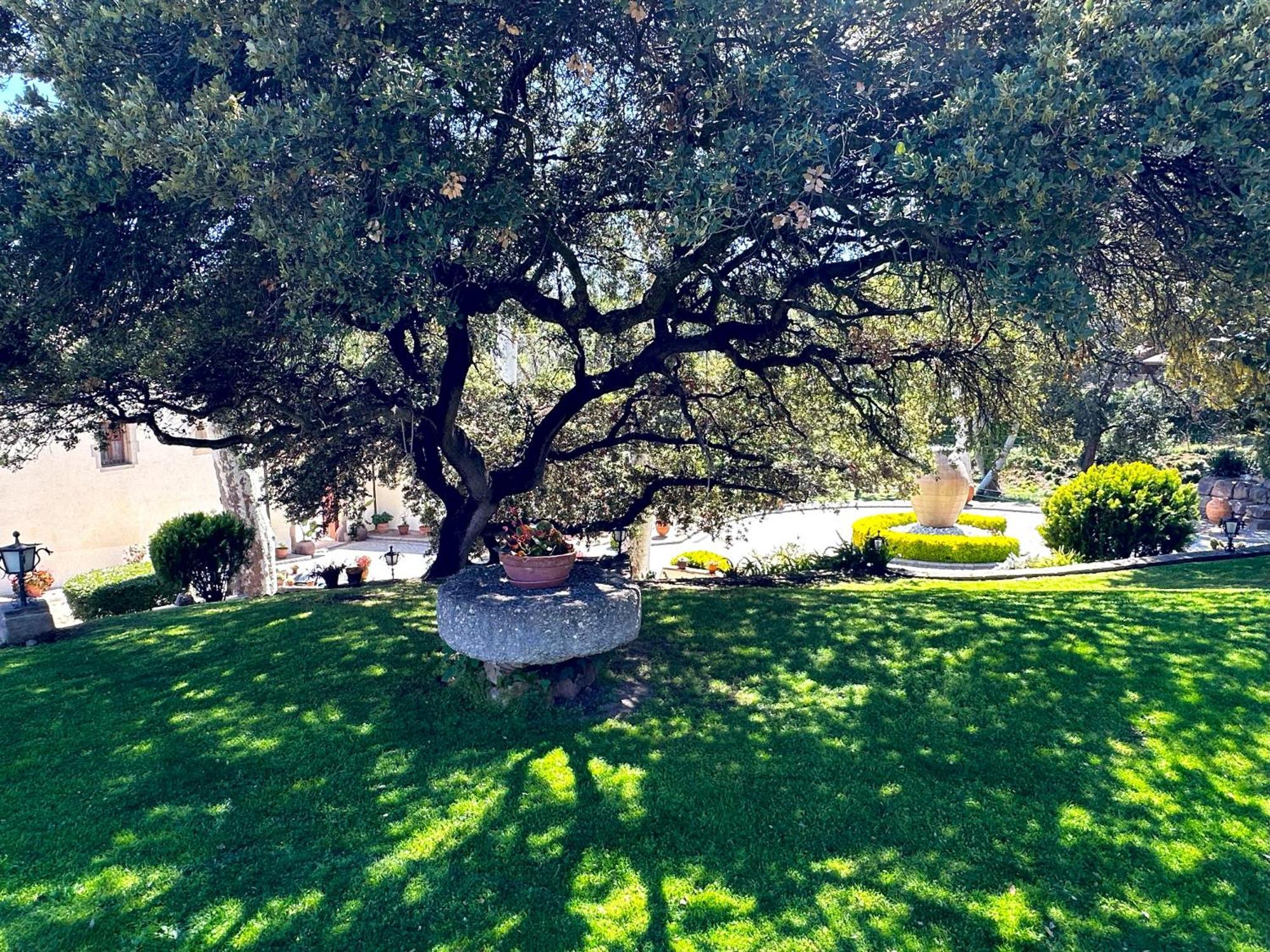 Masia Can Viver - Olive Oil Tourism B&B Bigues I Riells Εξωτερικό φωτογραφία